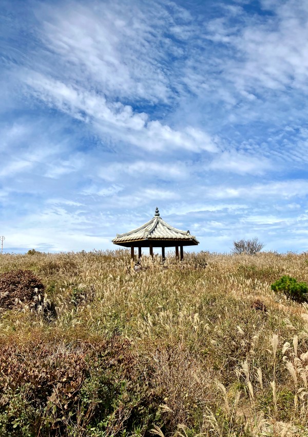 이미지 새창으로 크게보기 68d62c03934fc4849429cf3a93221071_1681175591_1627.jpg